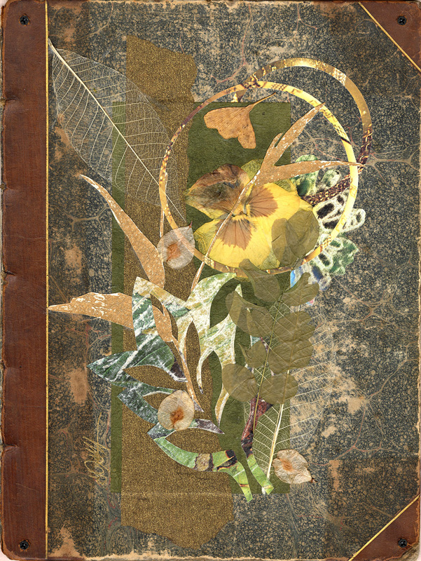 Herbarium Book I collage by Gina Hanzsek